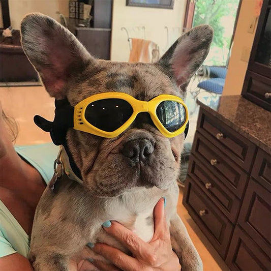 Dog Sunglasses with UV Protection – Goggles for Small Breeds